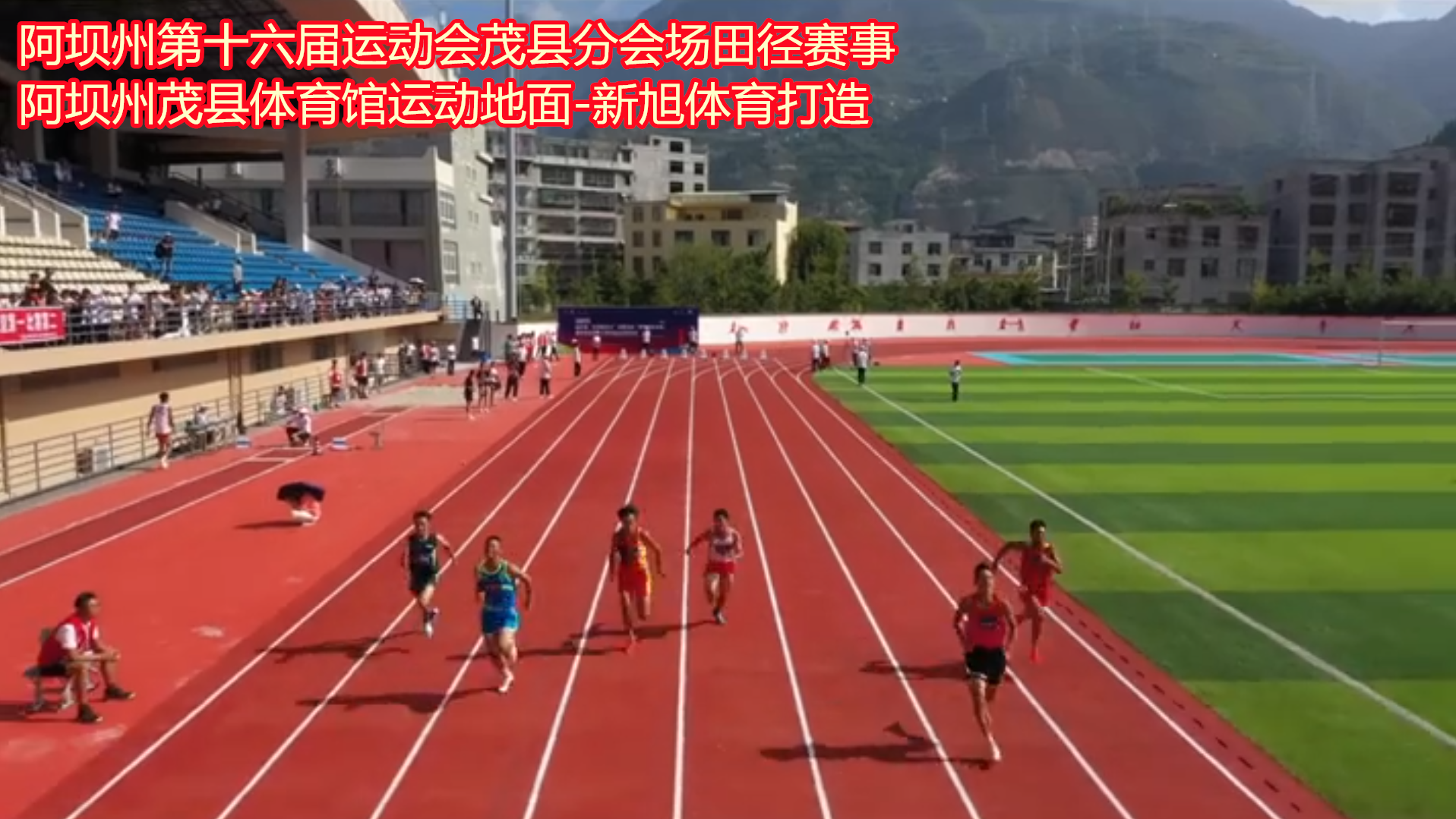 bb艾弗森官网运动场地